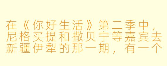 在《你好生活》第二季中,尼格买提和撒贝宁等嘉宾去新疆伊犁的那一期,有一个非常动人的场景是大家一起在草原上唱歌,当时他们唱了哪首歌?为什么这个片段让很多观众印象深刻?