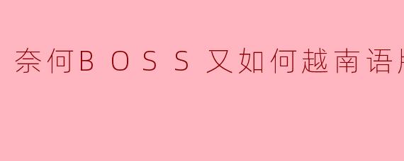奈何BOSS又如何越南语版