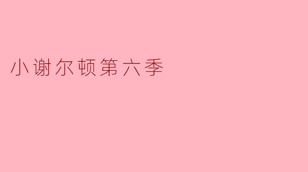 小谢尔顿第六季