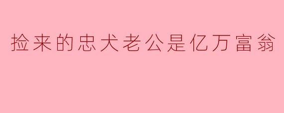 捡来的忠犬老公是亿万富翁