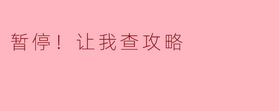 暂停！让我查攻略