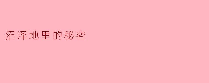 沼泽地里的秘密
