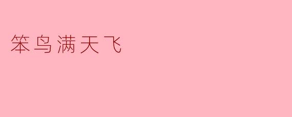 笨鸟满天飞