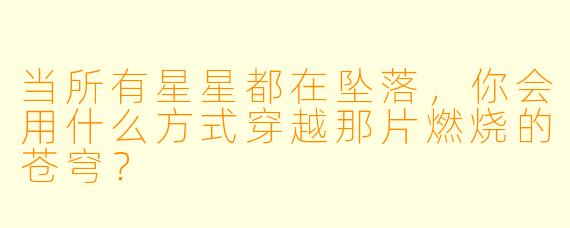 当所有星星都在坠落，你会用什么方式穿越那片燃烧的苍穹？