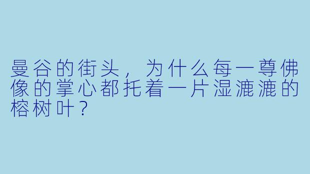 曼谷的街头,为什么每一尊佛像的掌心都托着一片湿漉漉的榕树叶?