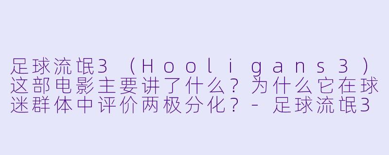 足球流氓3(Hooligans3)这部电影主要讲了什么?为什么它在球迷群体中评价两极分化?-足球流氓3
