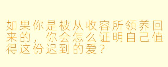 如果你是被从收容所领养回来的，你会怎么证明自己值得这份迟到的爱？