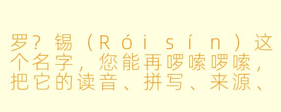 罗?锡(Róisín)这个名字,您能再啰嗦啰嗦,把它的读音、拼写、来源、含义,还有那些容易搞混的变体,以及它在不同文化里的“待遇”,甚至包括它跟“罗丝”或者“罗欣”到底是不是一回事,都掰开揉碎讲清楚吗?我实在是被绕晕了。