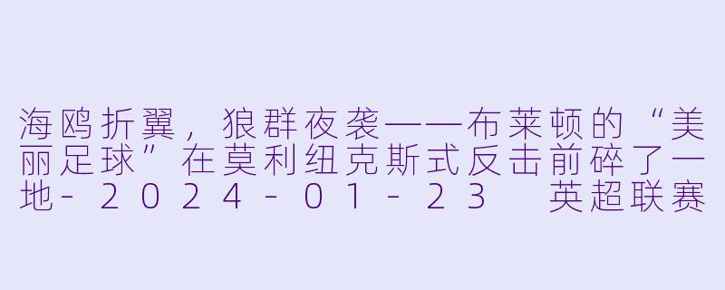 海鸥折翼,狼群夜袭——布莱顿的“美丽足球”在莫利纽克斯式反击前碎了一地-2024-01-23 英超联赛 布莱顿 VS 狼队