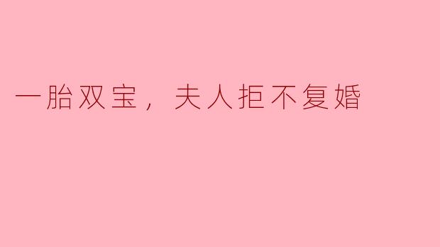 一胎双宝，夫人拒不复婚