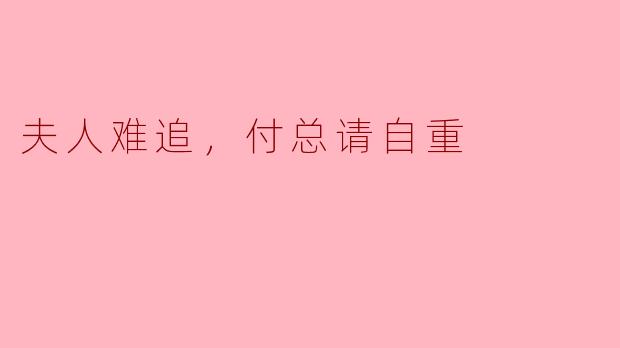 夫人难追，付总请自重