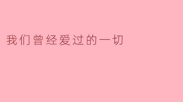 我们曾经爱过的一切