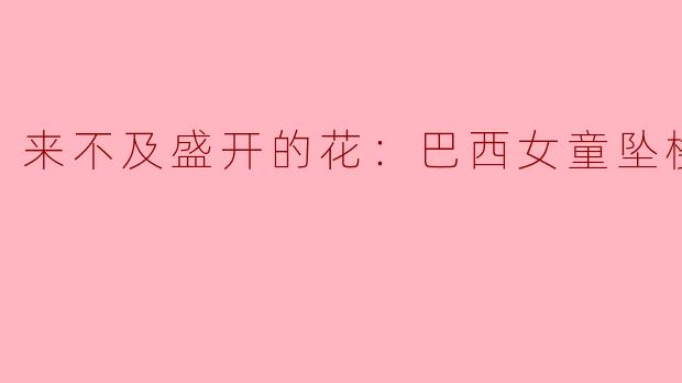来不及盛开的花：巴西女童坠楼案