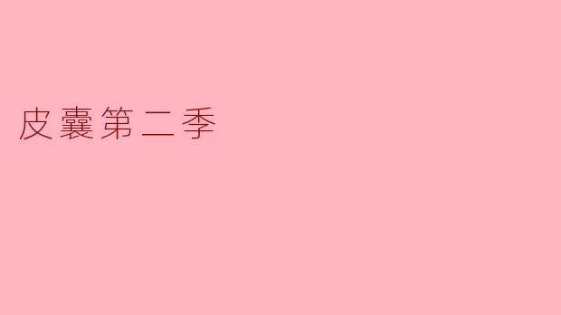 皮囊第二季