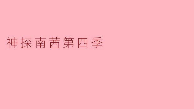神探南茜第四季