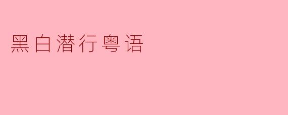 黑白潜行粤语
