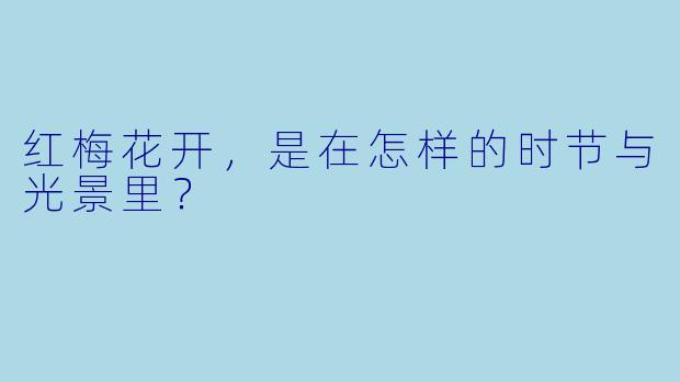 红梅花开，是在怎样的时节与光景里？