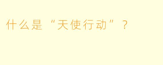 什么是“天使行动”?