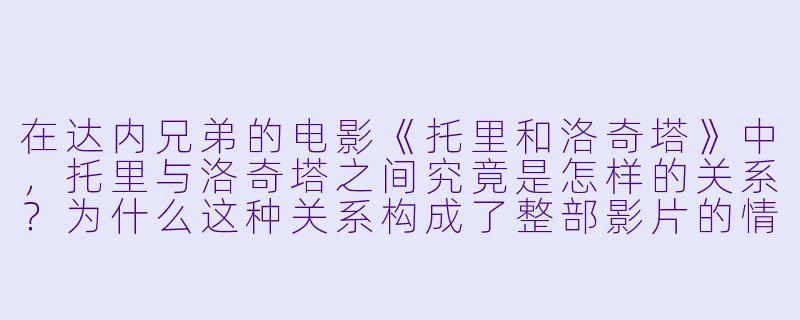 在达内兄弟的电影《托里和洛奇塔》中,托里与洛奇塔之间究竟是怎样的关系?为什么这种关系构成了整部影片的情感核心?-托里和洛奇塔