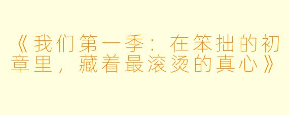 《我们第一季:在笨拙的初章里,藏着最滚烫的真心》