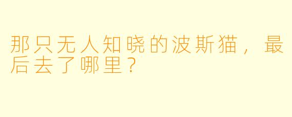 那只无人知晓的波斯猫，最后去了哪里？