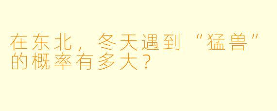 在东北，冬天遇到“猛兽”的概率有多大？