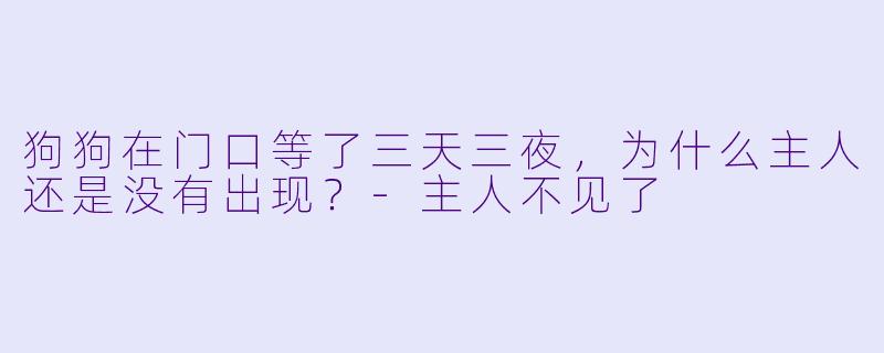 狗狗在门口等了三天三夜，为什么主人还是没有出现？-主人不见了