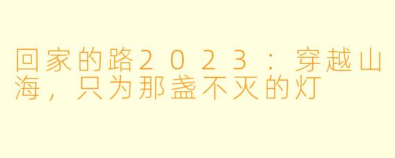 回家的路2023:穿越山海,只为那盏不灭的灯