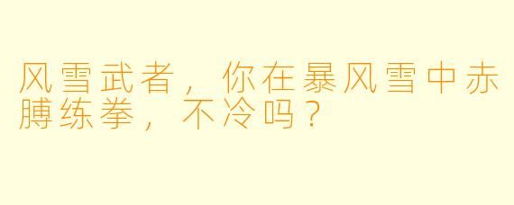 风雪武者，你在暴风雪中赤膊练拳，不冷吗？