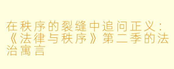 在秩序的裂缝中追问正义:《法律与秩序》第二季的法治寓言