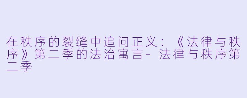 在秩序的裂缝中追问正义:《法律与秩序》第二季的法治寓言-法律与秩序第二季