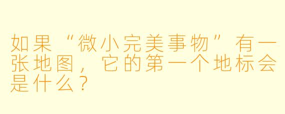 如果“微小完美事物”有一张地图,它的第一个地标会是什么?