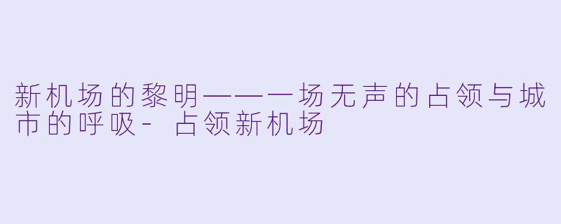新机场的黎明——一场无声的占领与城市的呼吸-占领新机场