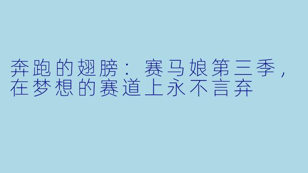 奔跑的翅膀:赛马娘第三季,在梦想的赛道上永不言弃
