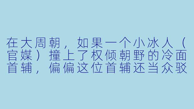 在大周朝，如果一个小冰人（官媒）撞上了权倾朝野的冷面首辅，偏偏这位首辅还当众驳了她的媒，她该怎么收场？