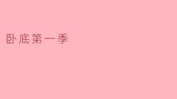 卧底第一季