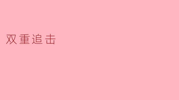双重追击