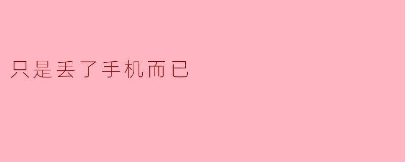 只是丢了手机而已