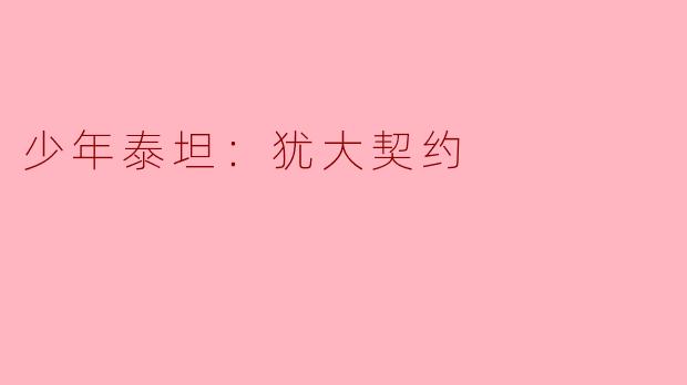 少年泰坦：犹大契约