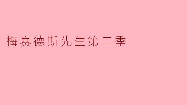 梅赛德斯先生第二季