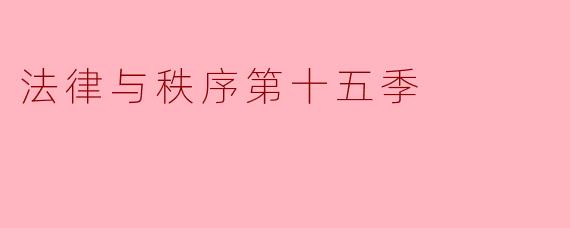 法律与秩序第十五季