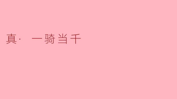 真·一骑当千