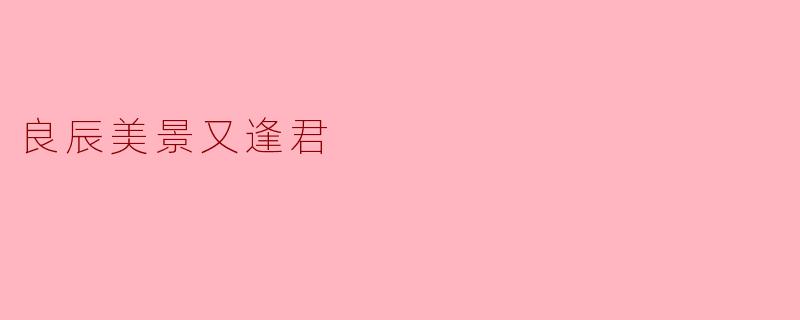良辰美景又逢君