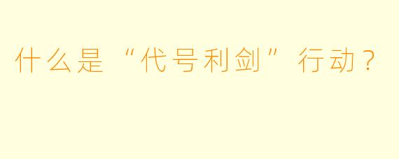 什么是“代号利剑”行动？