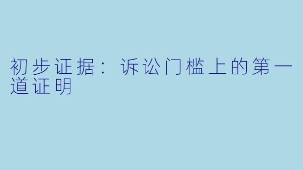 初步证据:诉讼门槛上的第一道证明