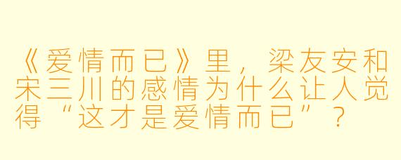 《爱情而已》里,梁友安和宋三川的感情为什么让人觉得“这才是爱情而已”?