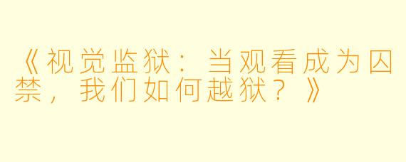 《视觉监狱:当观看成为囚禁,我们如何越狱?》