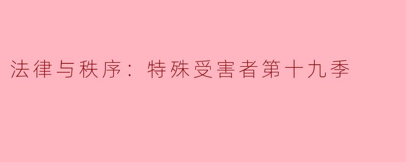 法律与秩序：特殊受害者第十九季